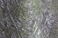 Innertown fibreglass roof work